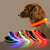 Anti-Lost LED Dog Collar
